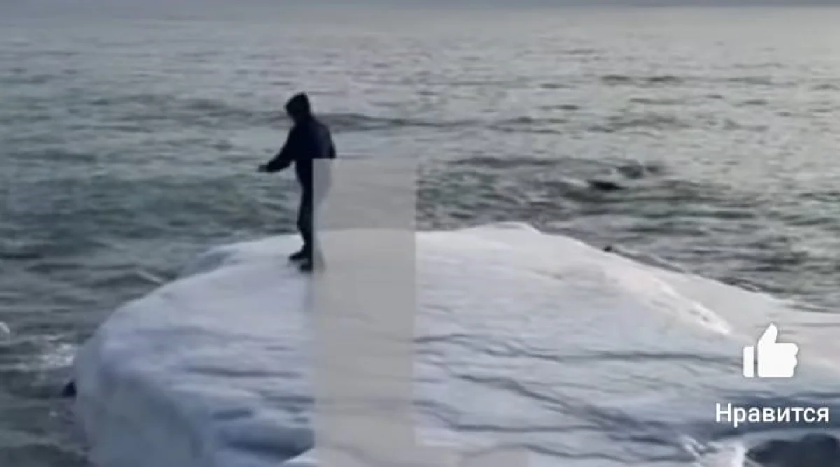 Скрин видео