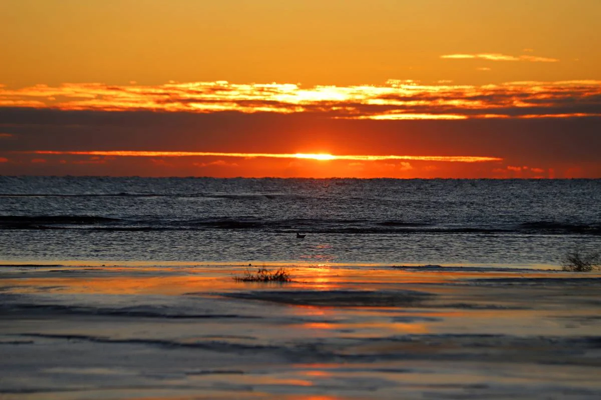 фото: Сергей Алексеенок