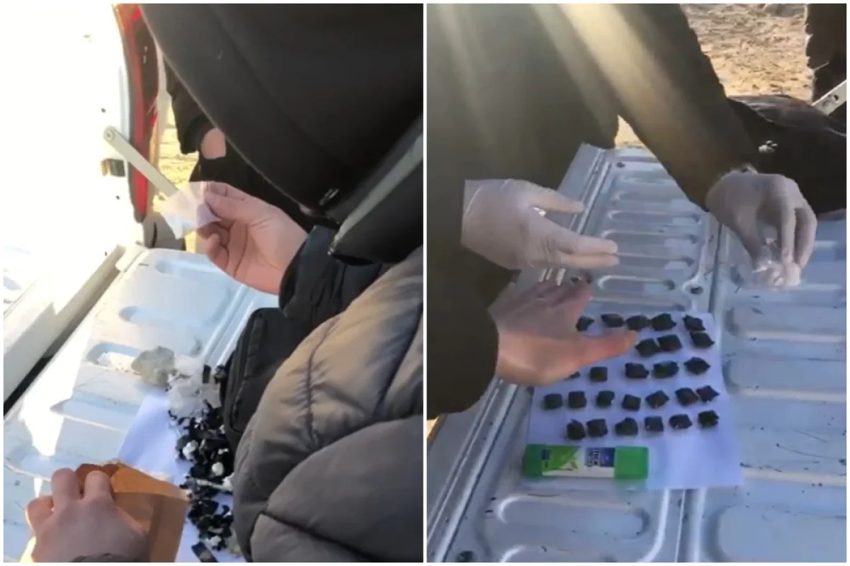 Коллаж из кадров видео