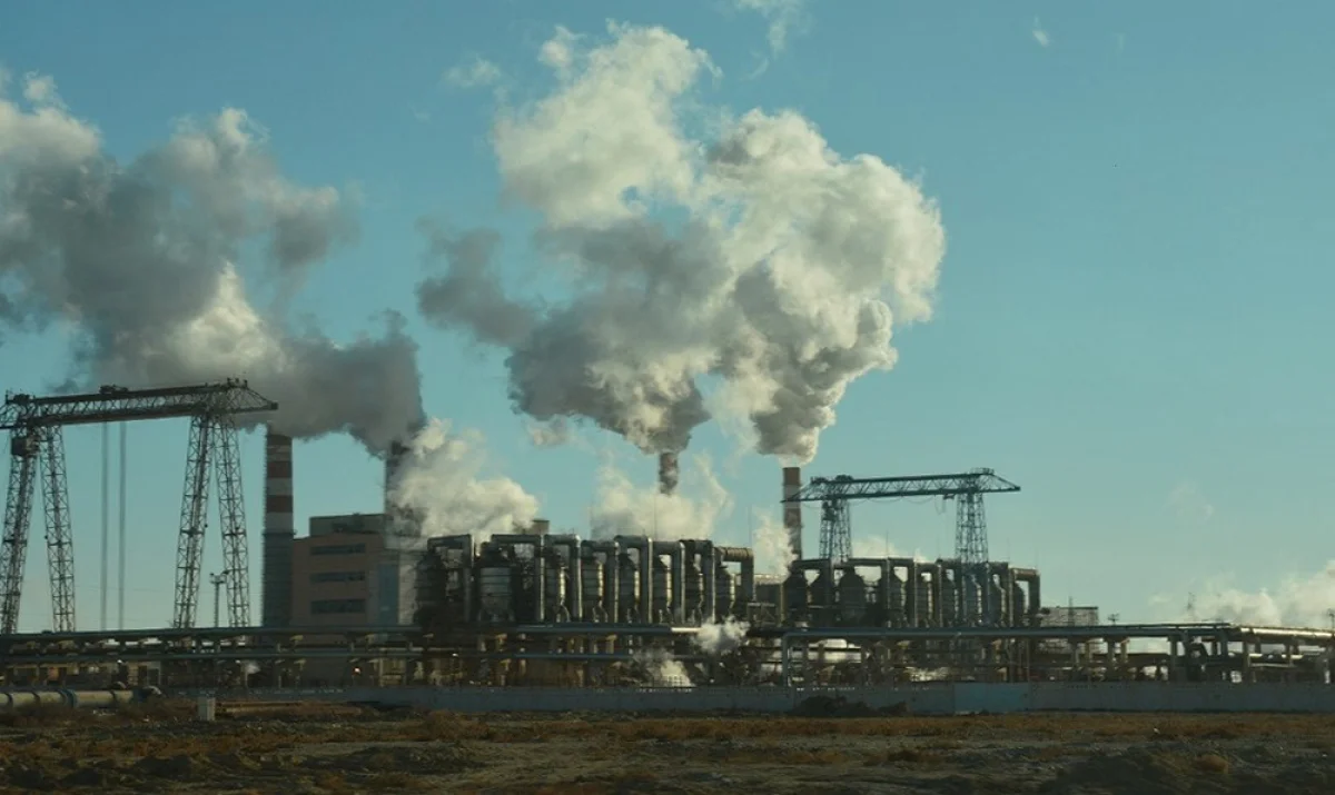 Фото Лианы Рязанцевой