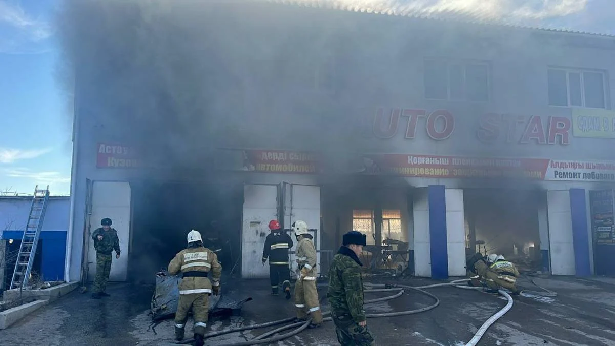 Фото ДЧС МО