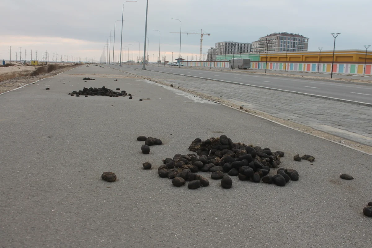 Фото местного жителя Бексултана