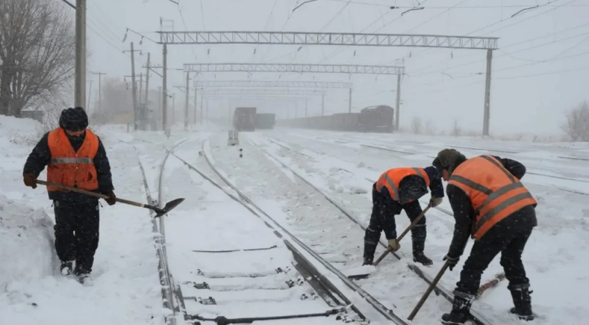 Фото из доступных источников