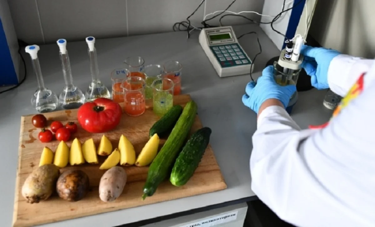 Фото из открытых источников