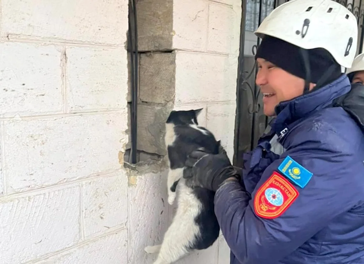 Фото пресс-службы ведомства
