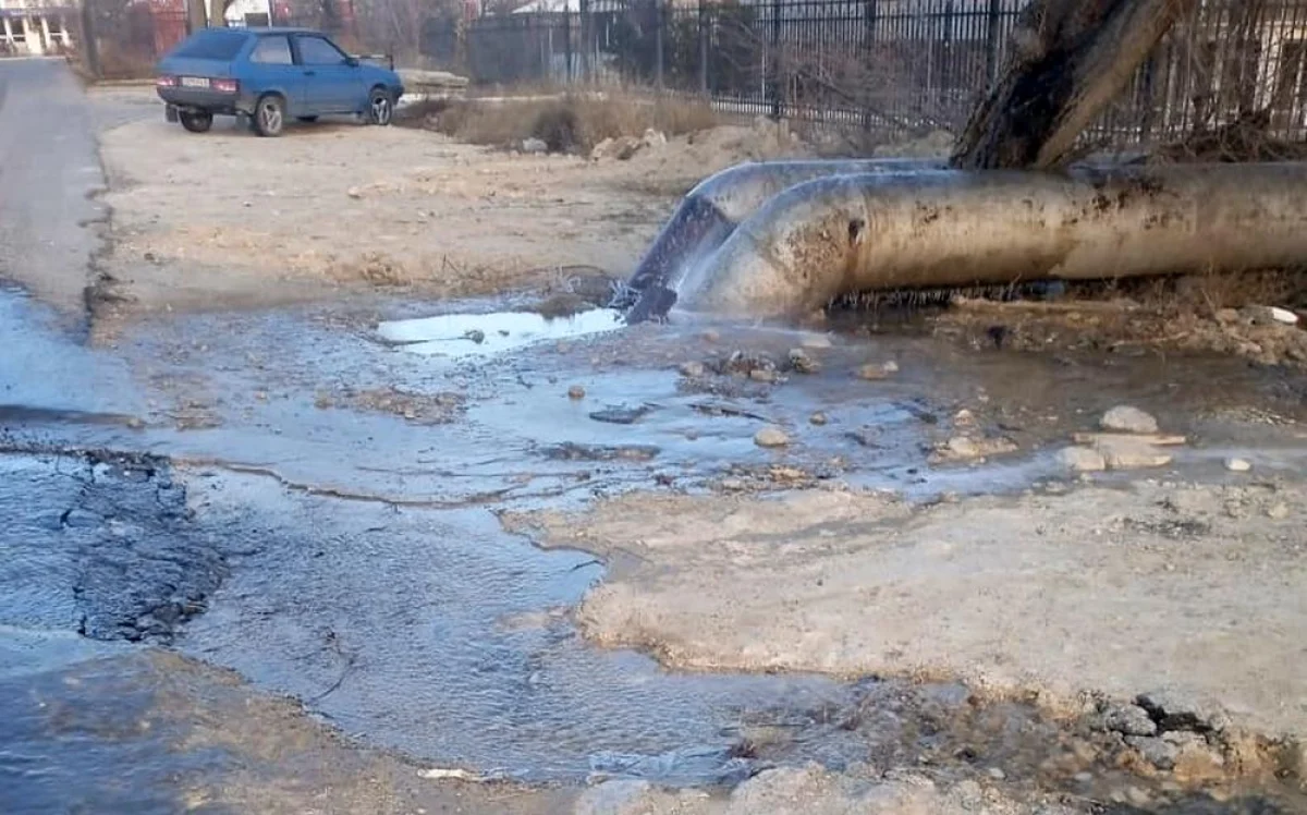 Фото местного жителя