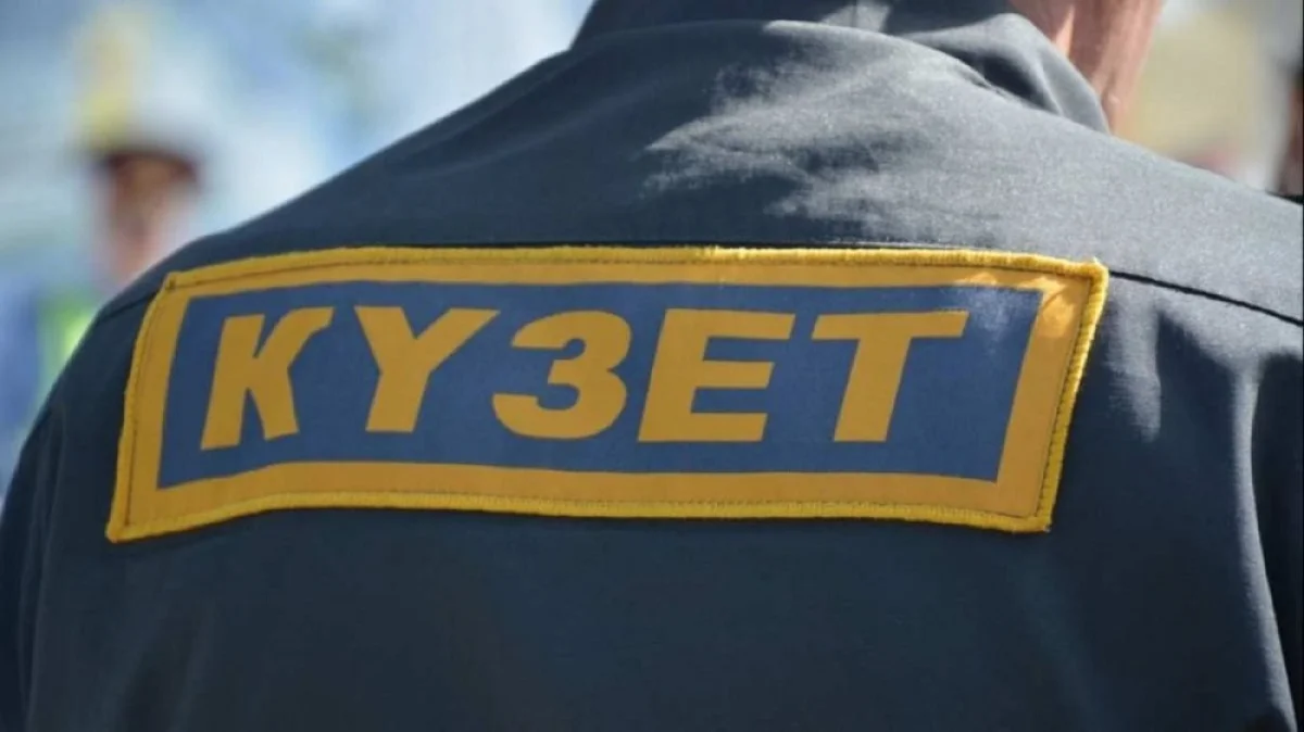 Иллюстративное фото с сайта aikyn.kz