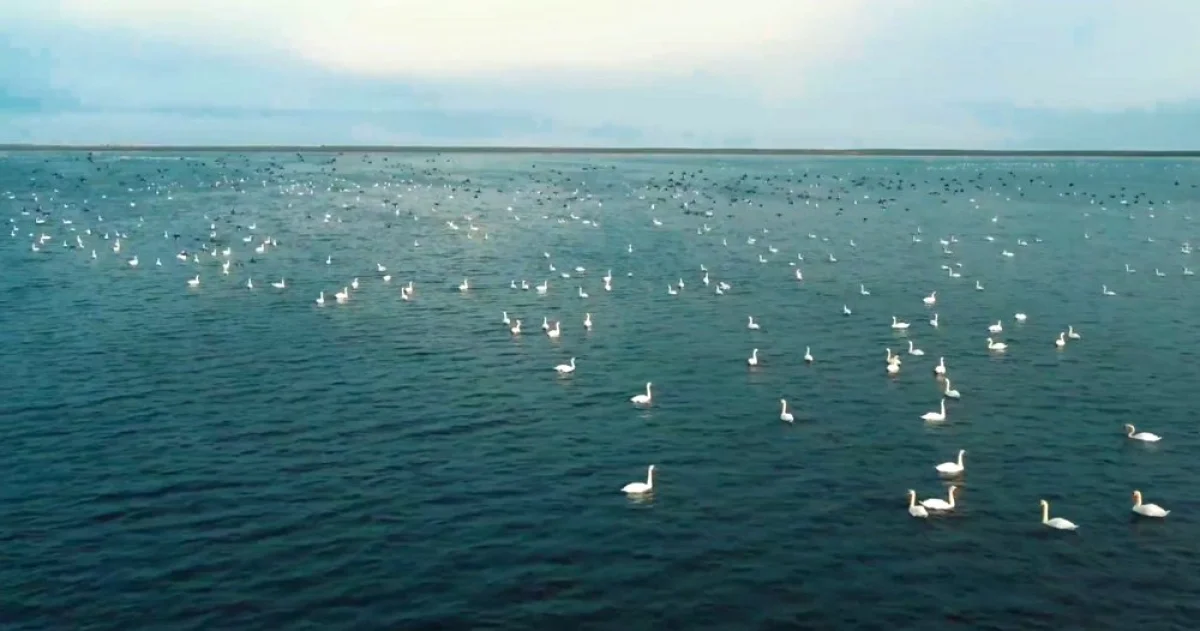 Фото из архива lada.kz