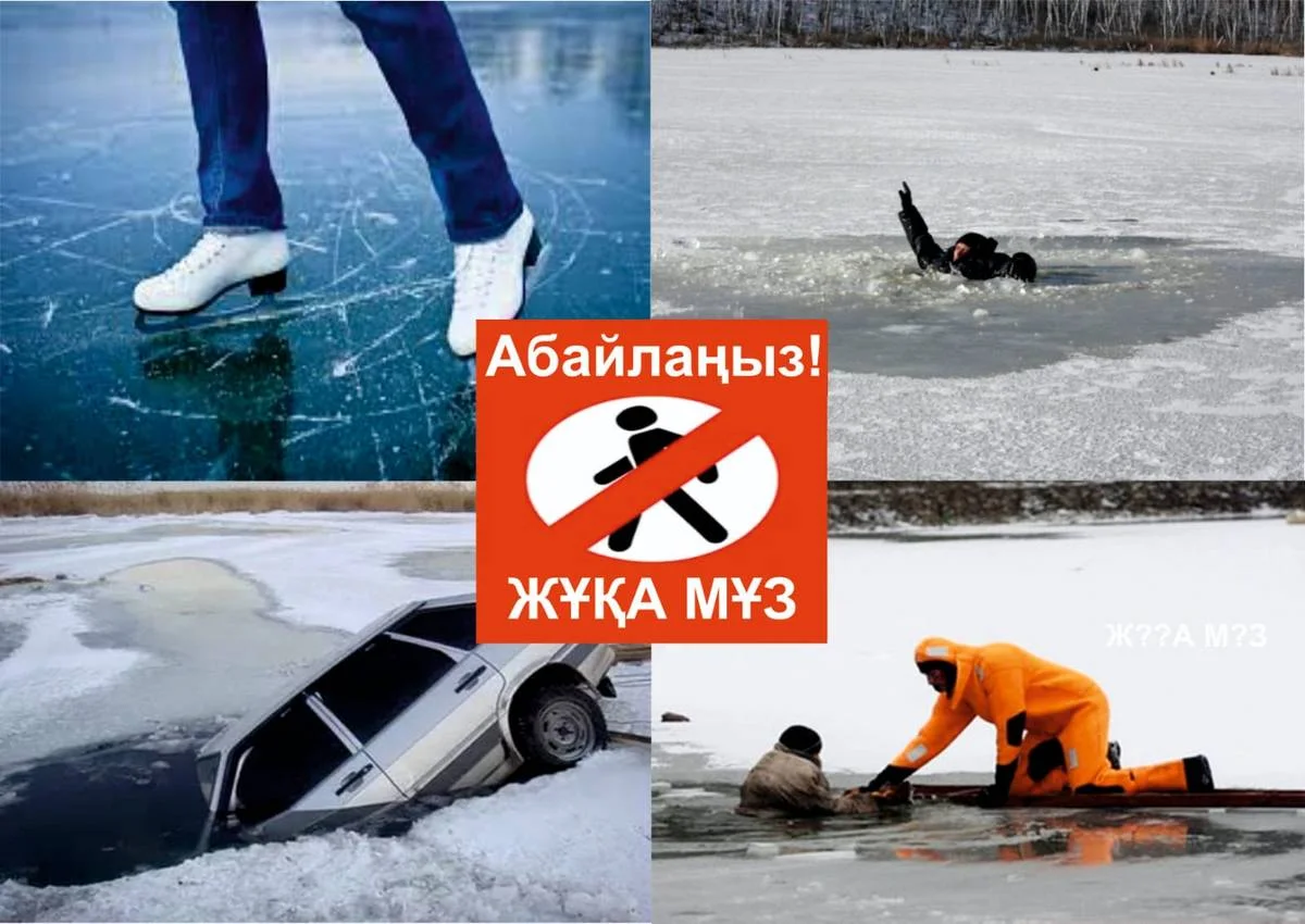 Иллюстративное фото