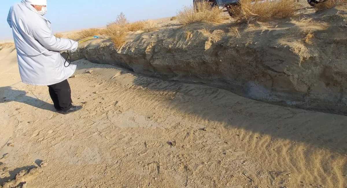 Фото предоставили в областном акимате