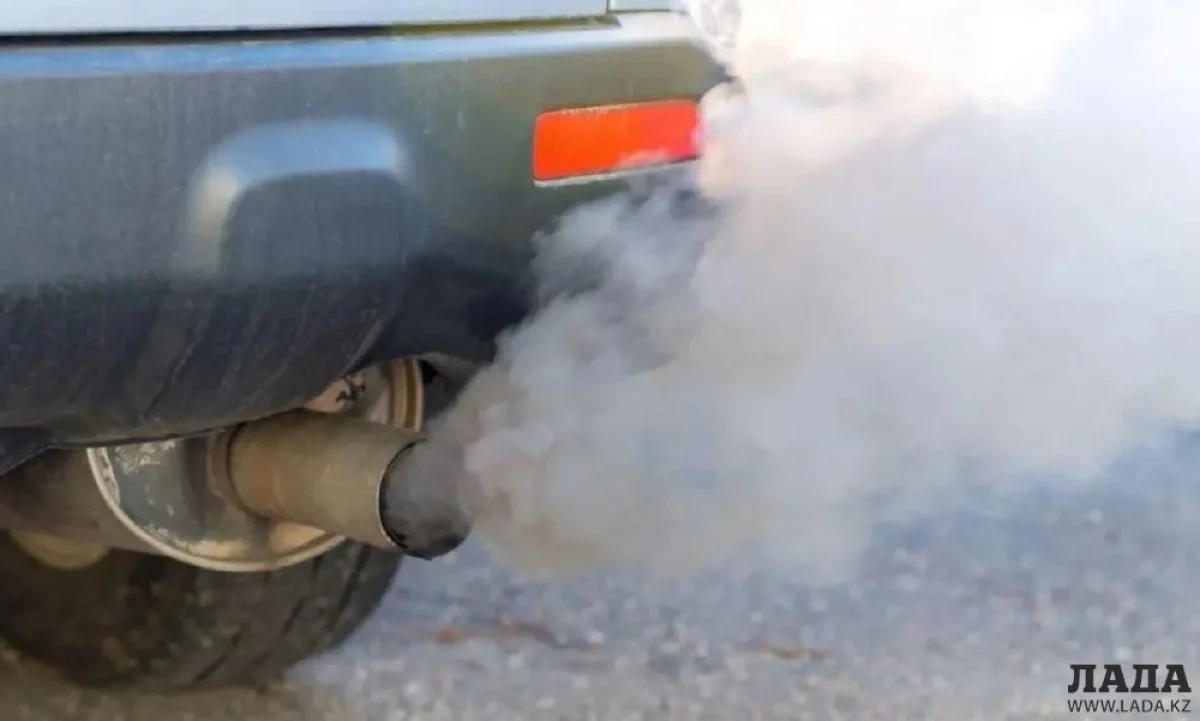 Иллюстративное фото