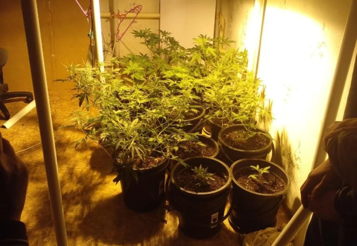 Фото ЦОК региона