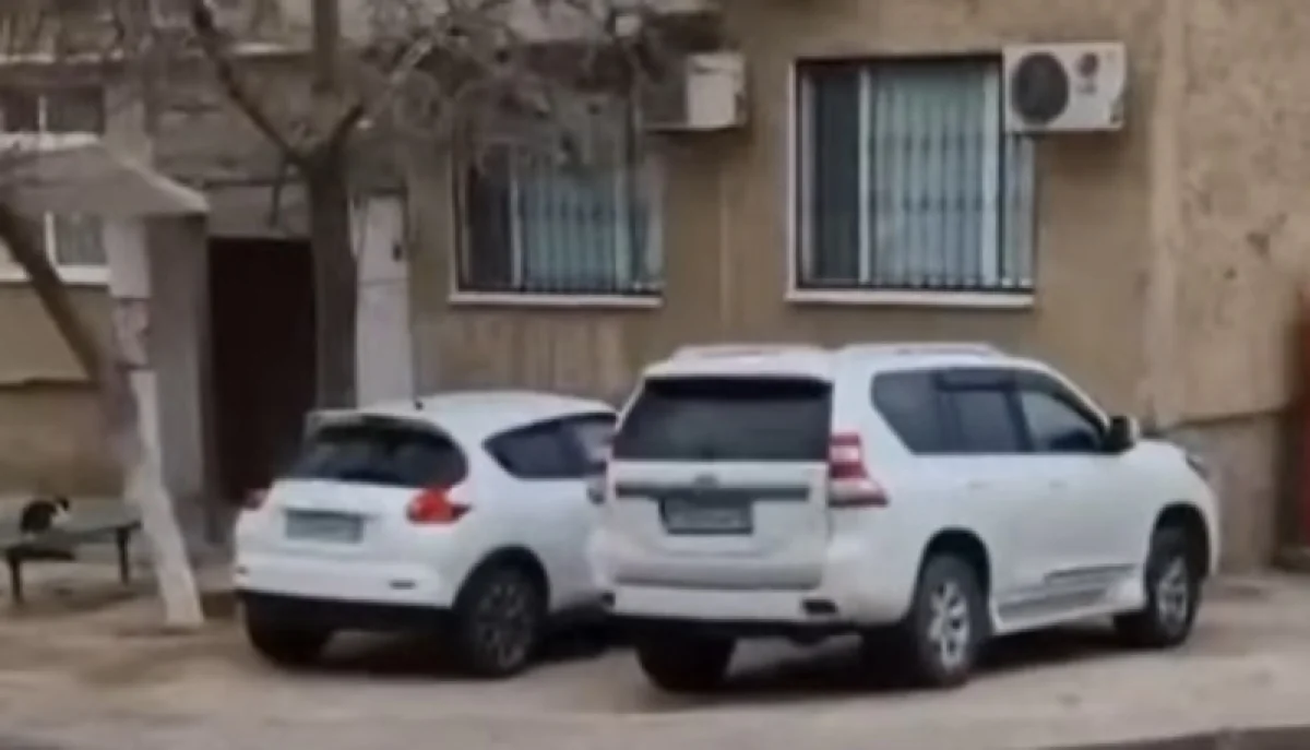 Кадр с видеоролика