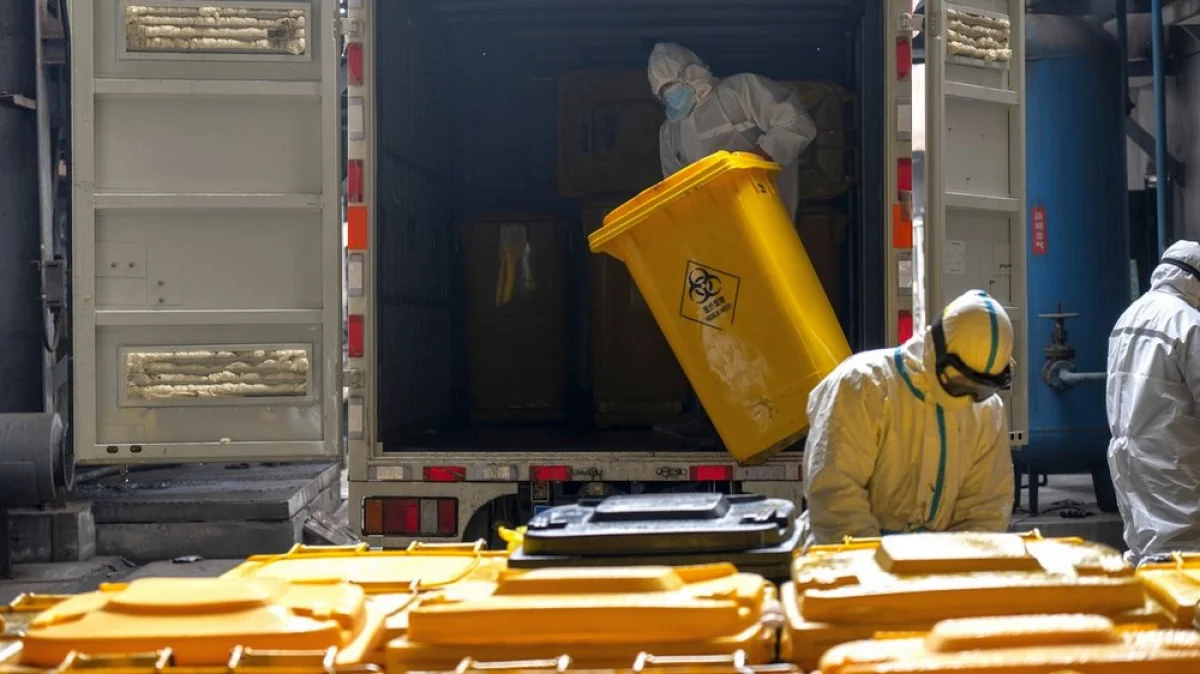 Фото из доступных источников