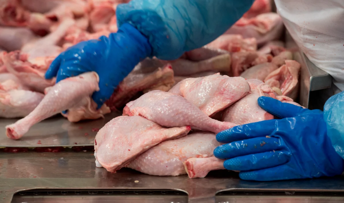 Фото из доступных источников