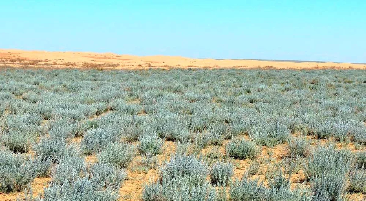 Фото из доступных источников