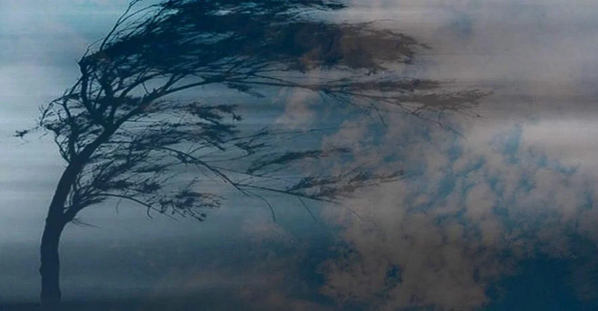 Иллюстративное фото