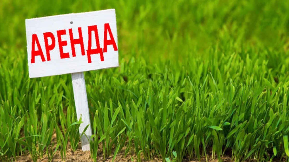 Иллюстративное фото