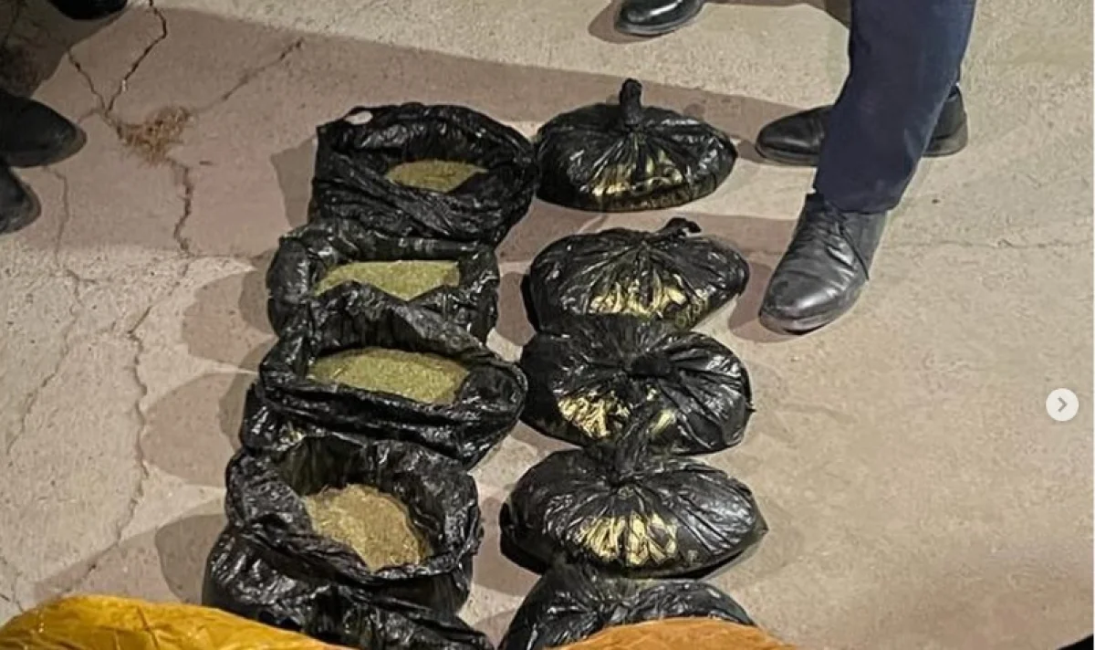 Фото пресс-службы ведомства