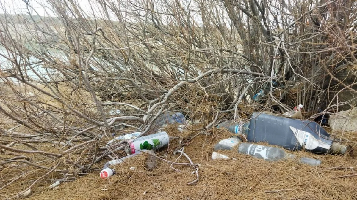 Фото местного жителя Георгия