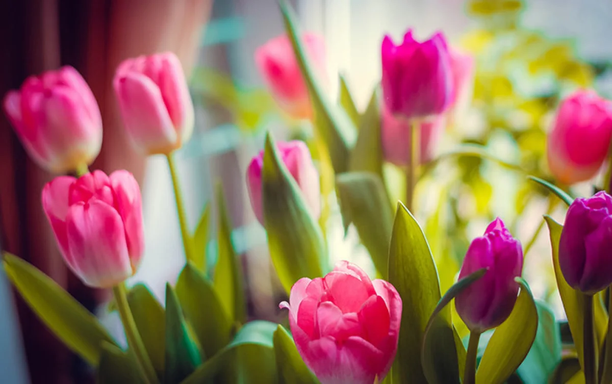 Иллюстративное фото