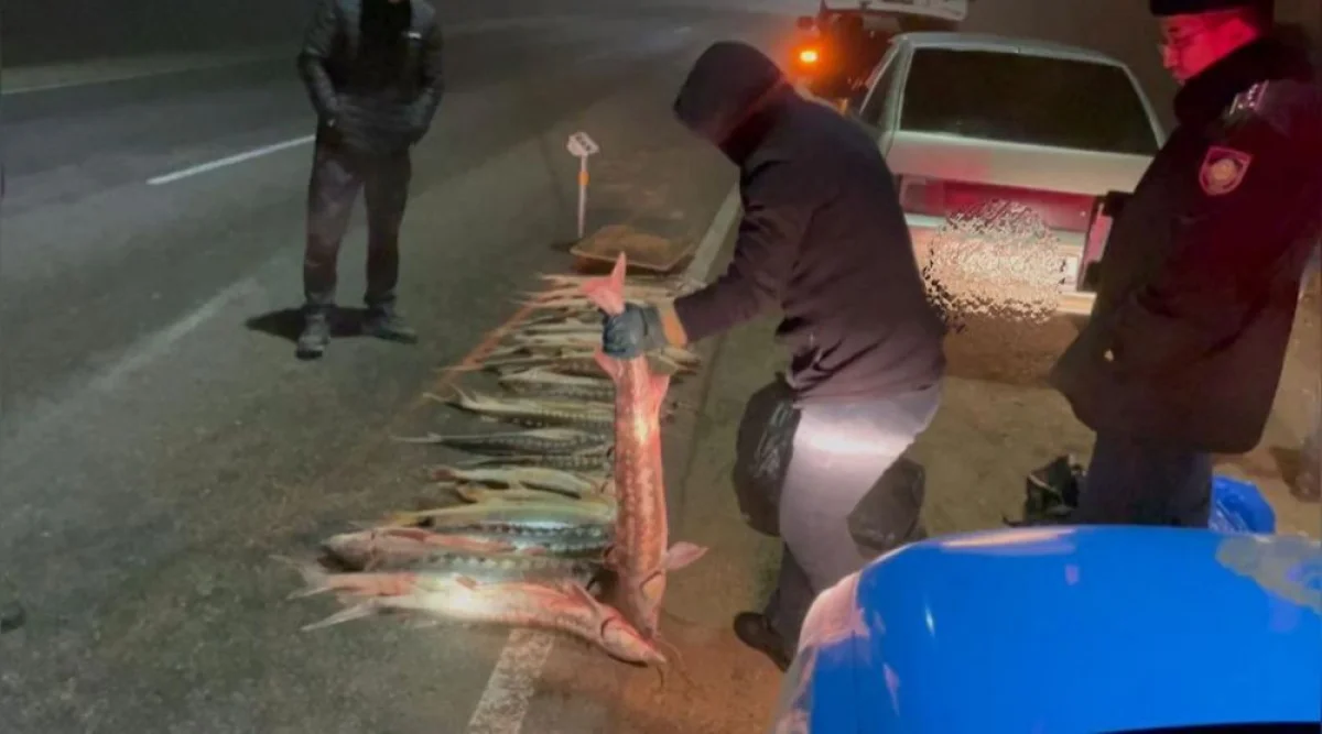 Фото предоставили в департаменте полиции