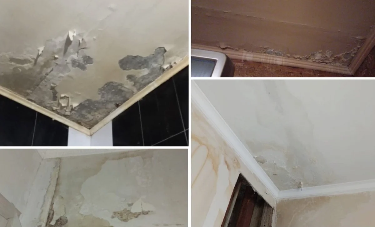 Фото жителей дома №8А