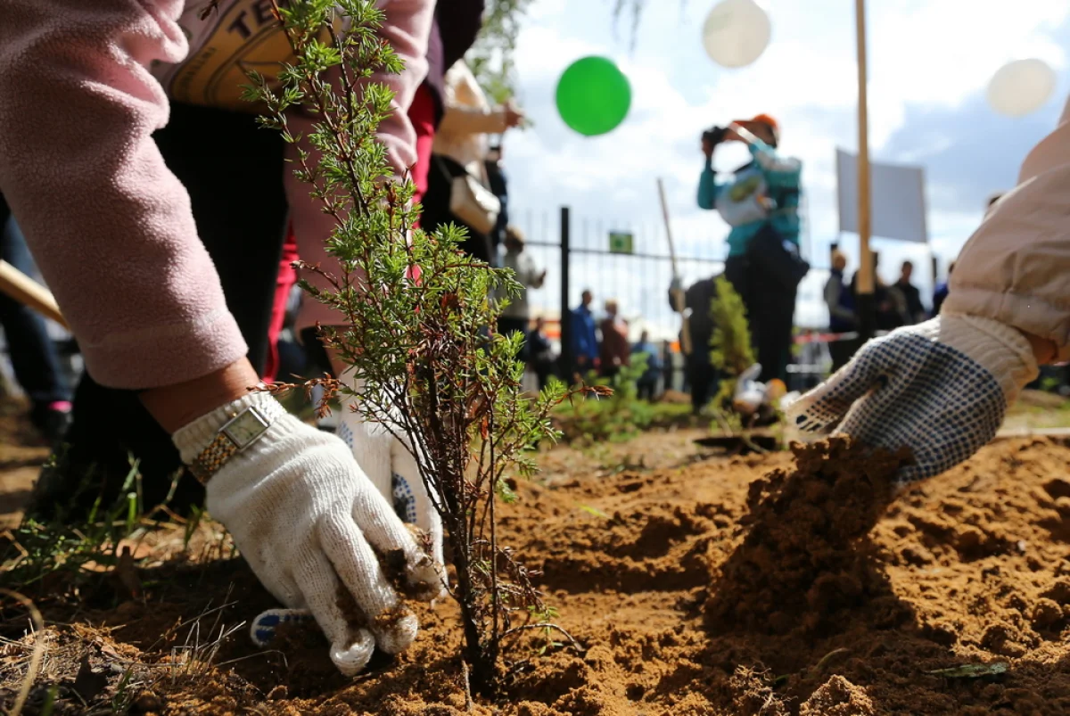 Фото из доступных источников