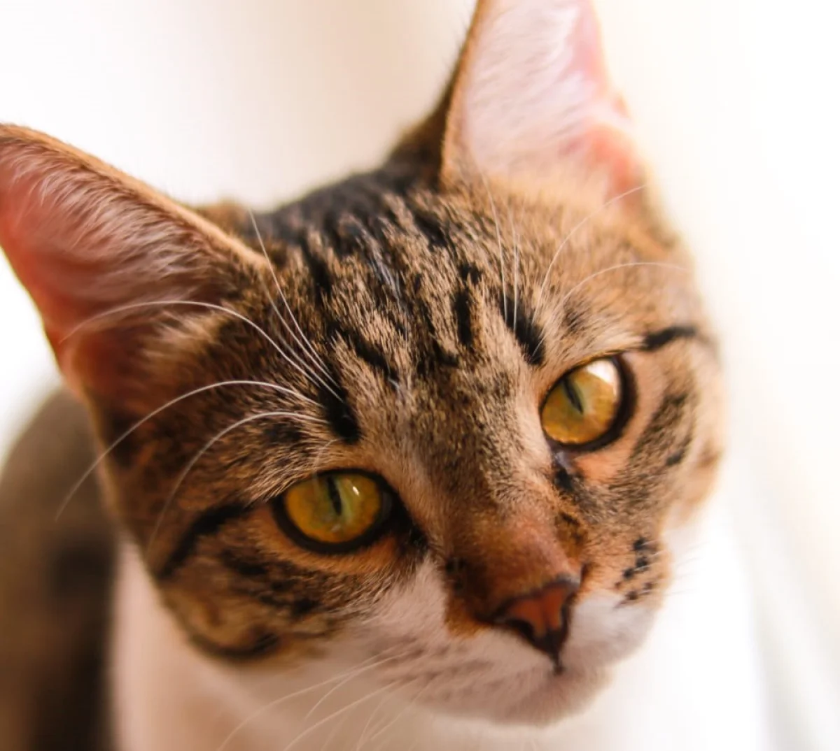 Фото Алексея Хапина