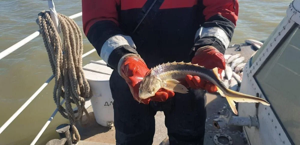 _фото предоставлено А.Жаналиповым