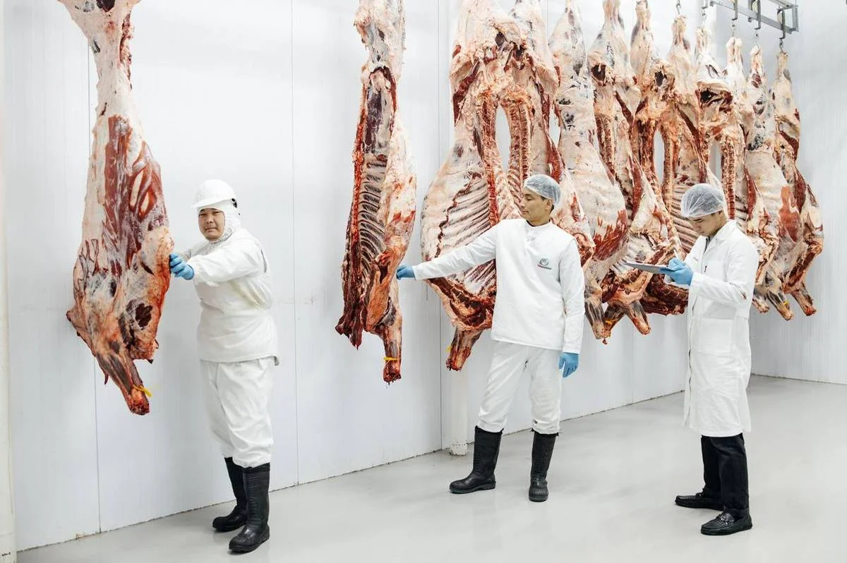 Фото ЦОК Мангистауской области