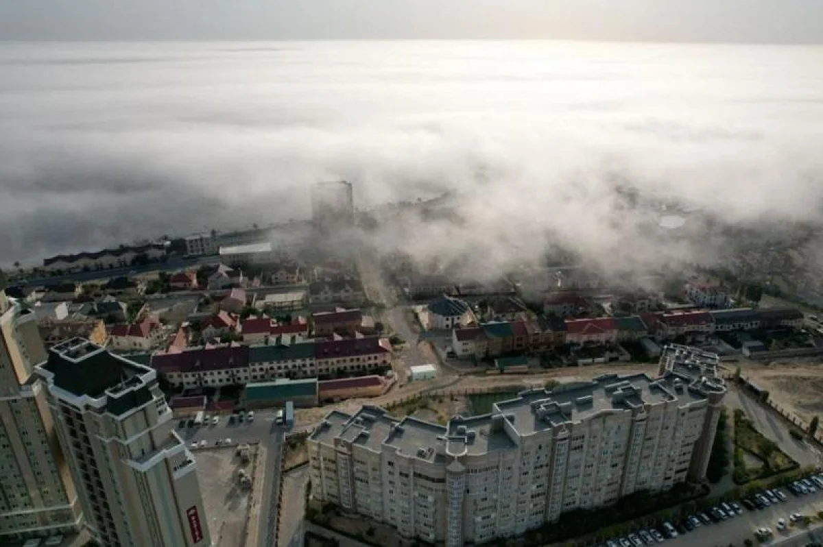 Иллюстративное фото