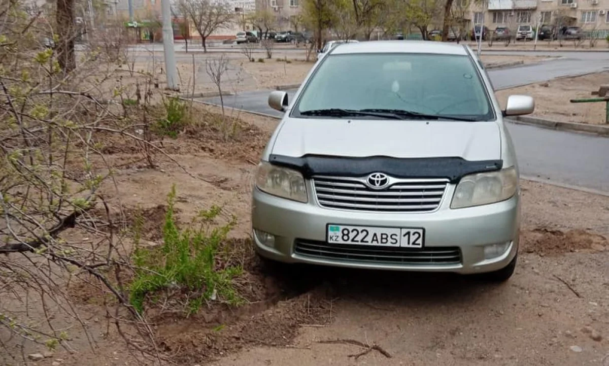 Фото жительницы дома №3 в 7 микрорайоне