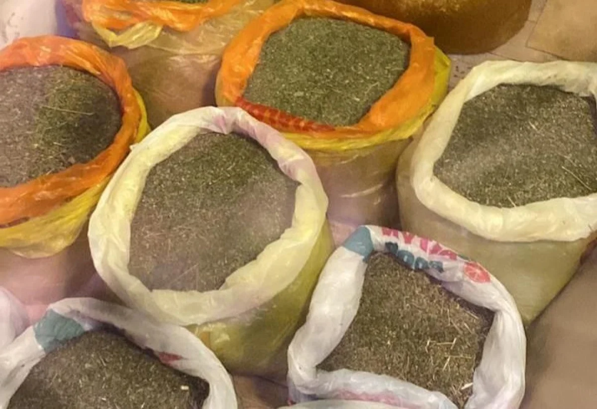 Фото пресс-службы ведомства