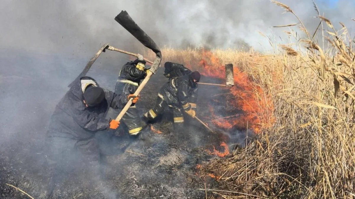 Иллюстративное фото с сайта orda.kz