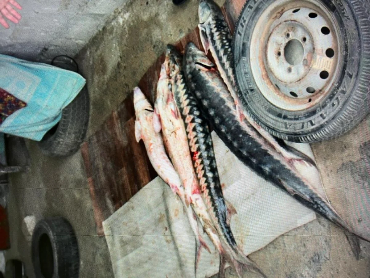 Фото пресс-службы ведомства