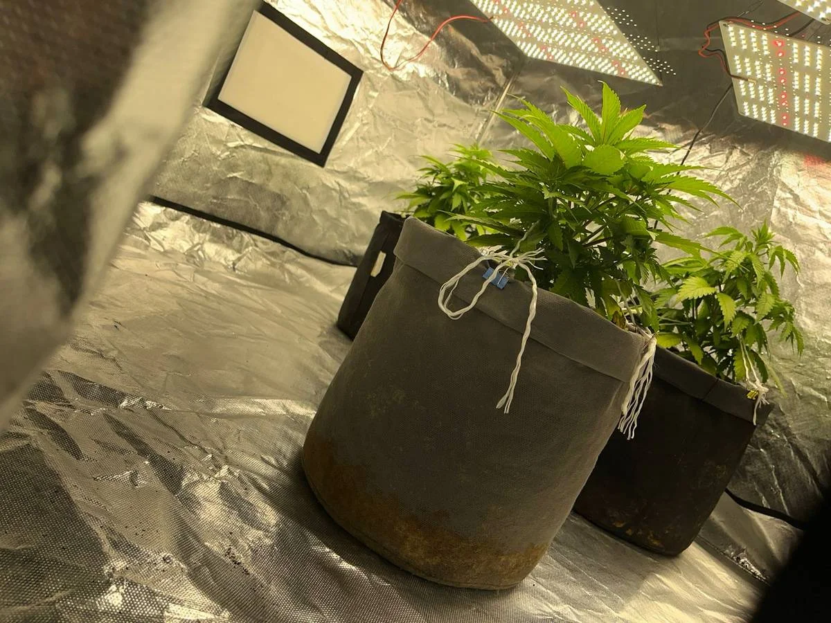 фото ДП Мангистауской области