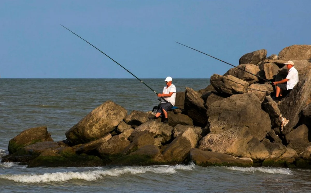 Фото из доступных источников