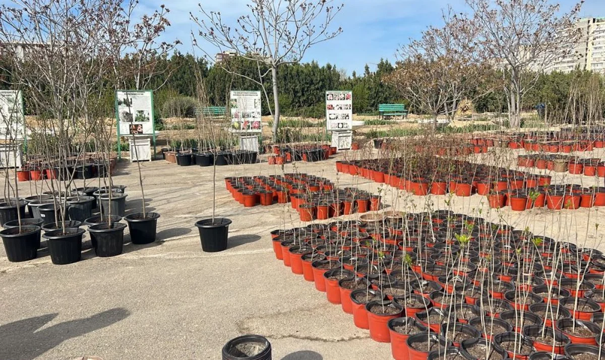 Фото предоставили в городском акимате