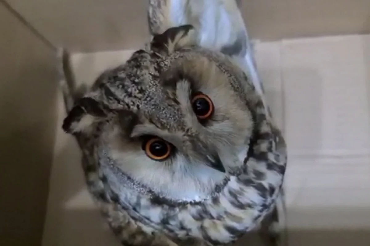 Фото предоставил Артем