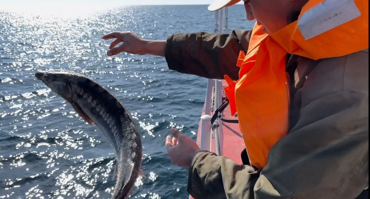 _фото предоставлено пресс-центром департамента ПС области