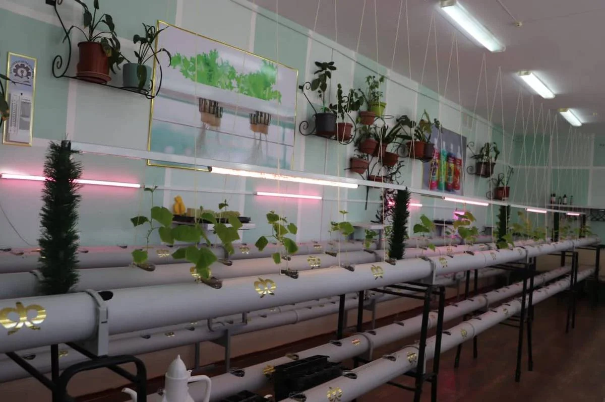 Фото предоставли в ЦОК Мангистауской области