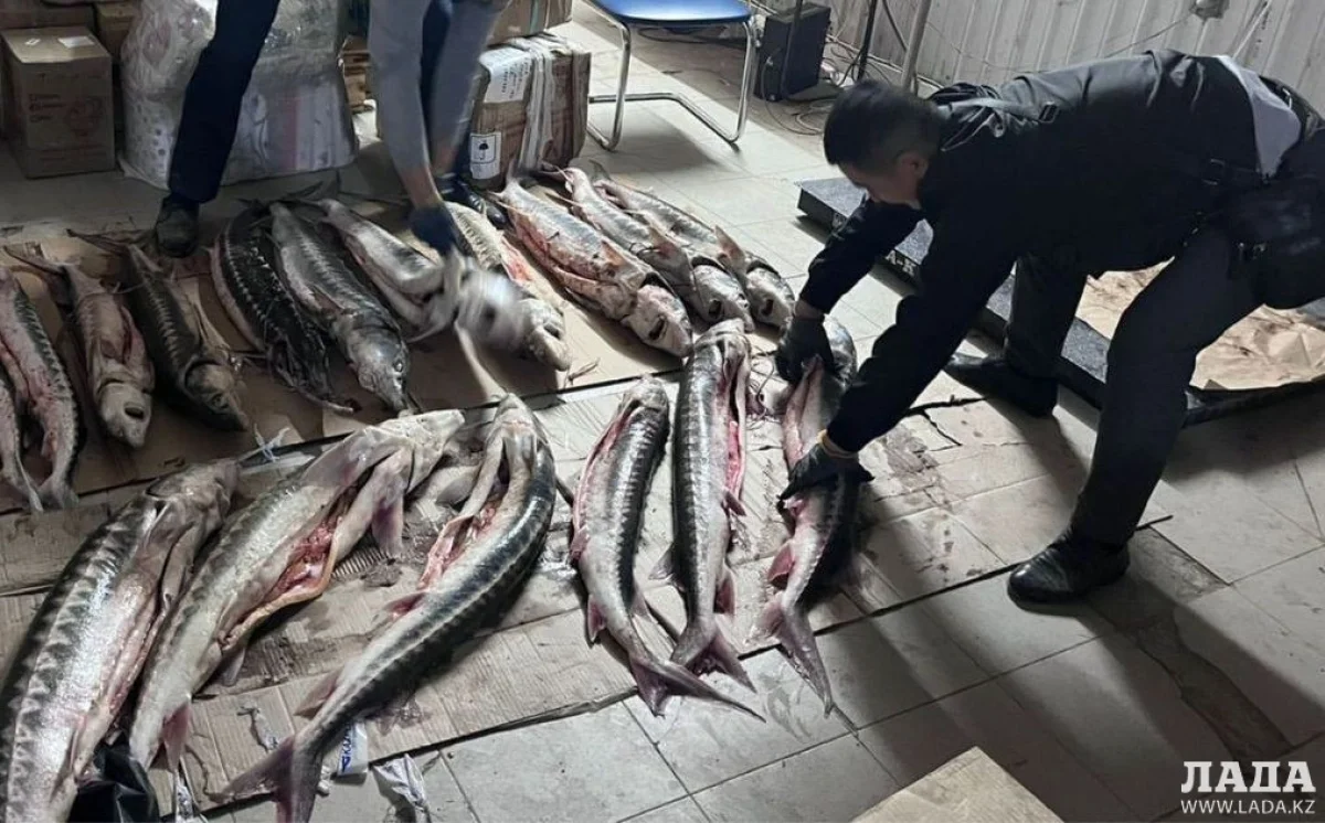 Фото департамент полиции Мангистауской области