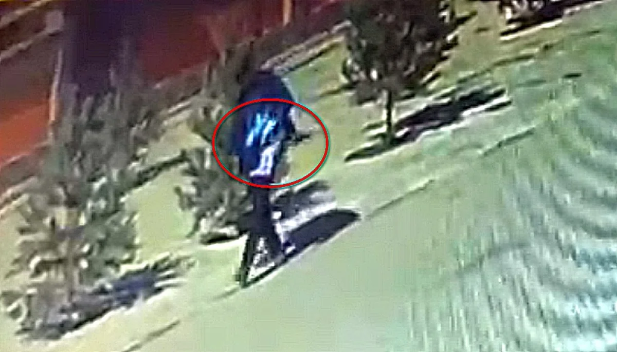 Фото предоставили владельцы хаски