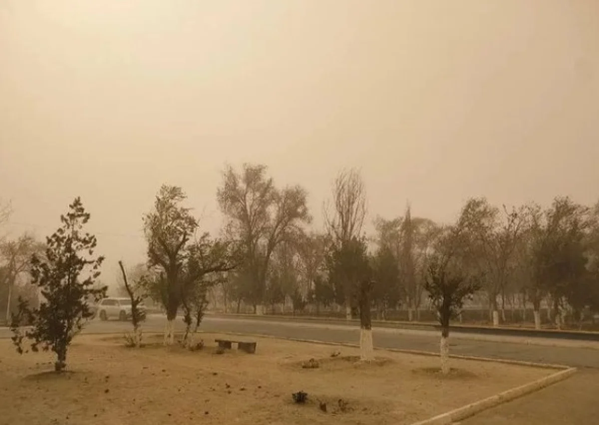 Фото акимата Жанаозена