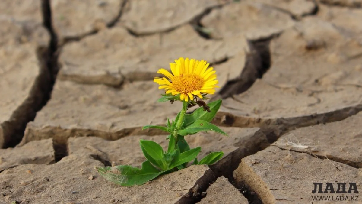 Иллюстративное фото