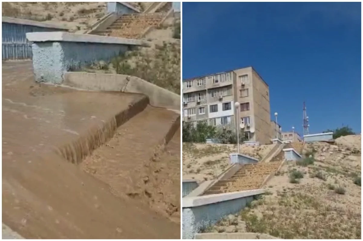 Коллаж из кадров видео