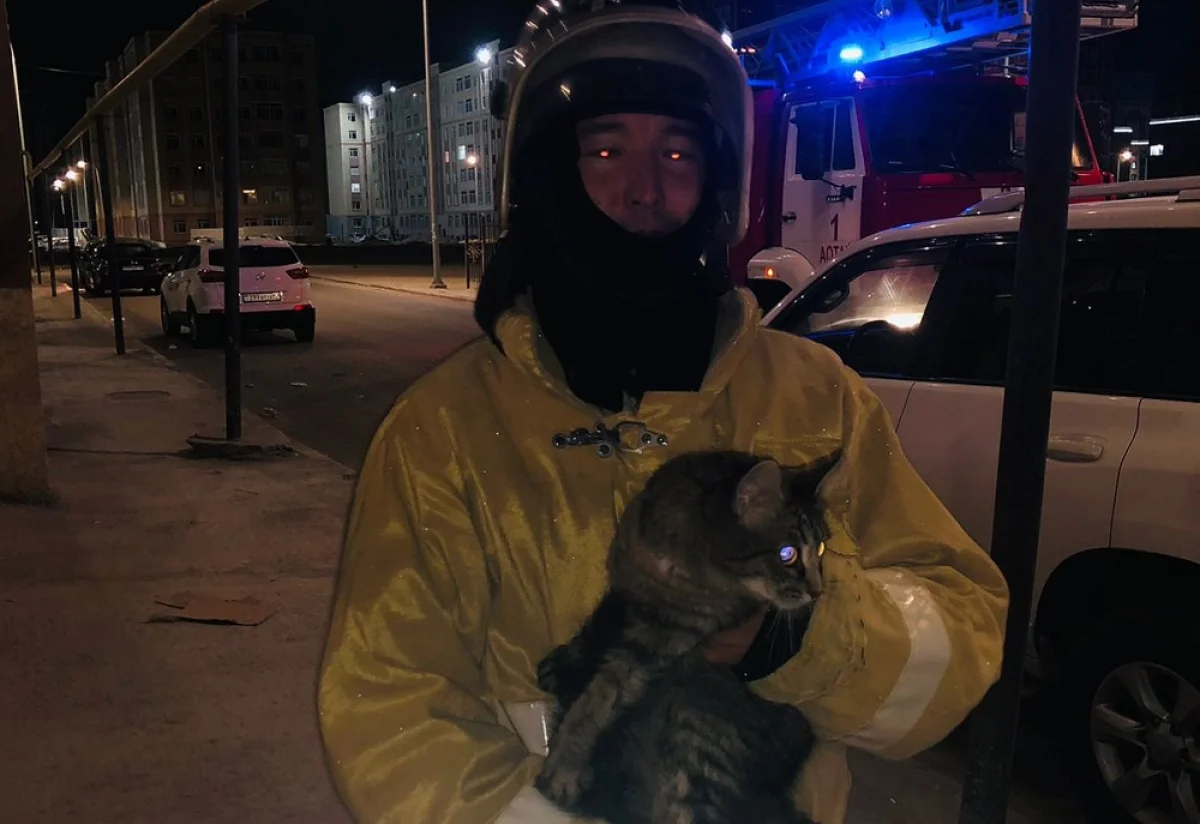 Фото пресс-службы ведомства