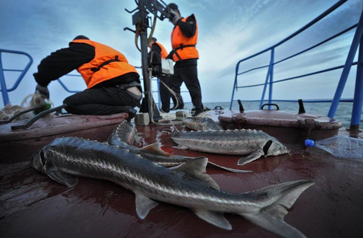 Фото из доступных источников