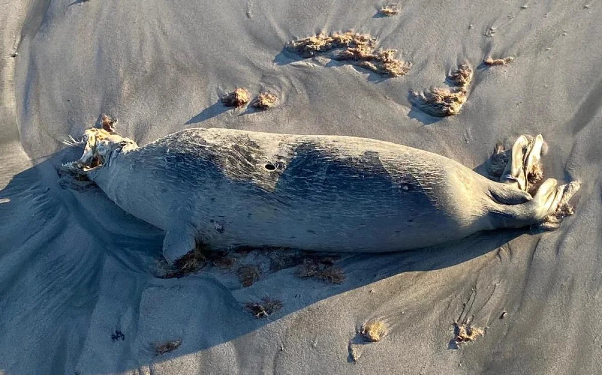 Фото из архива